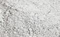 <a href='http://www.shiyanxiangchang.cn/jsll/10.html' target='_blank'><u>Xa(chn)S</u></a>